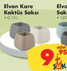 ELVAN KARE KAKTÜS SAKSI 0,13 L ELVAN KARE KAKTÜS SAKSI 0,13 L